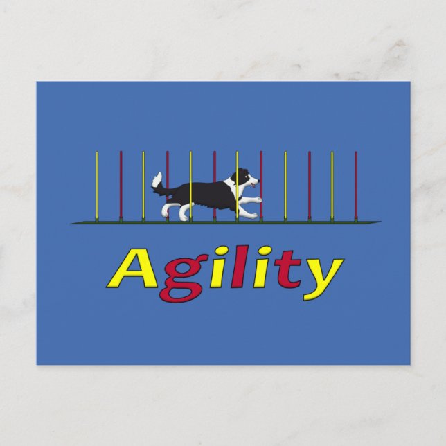 Agility dog postcard (Front)