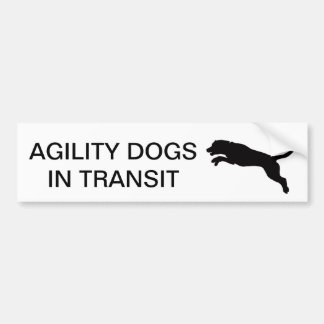 Agility Dogs In Transit Car Sticker