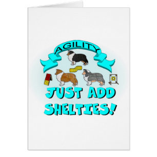 Agility - Just Add Shelties