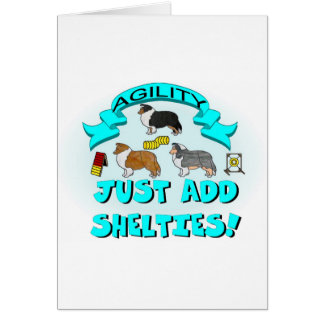 Agility - Just Add Shelties