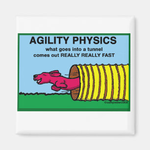 AgilityPhysics Magnet