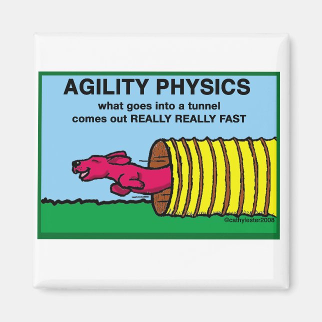 AgilityPhysics Magnet (Front)
