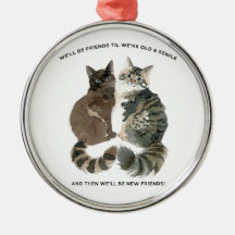 Aging humor for cat loving friends husband wife ch