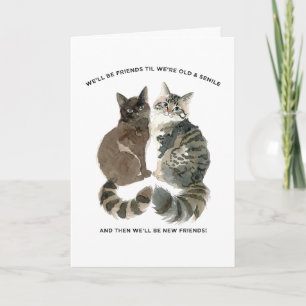 Aging humor for cat loving friends wife mom bestie card