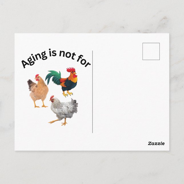 Aging is Not for Chickens. chickens, humour, funny Postcard (Back)