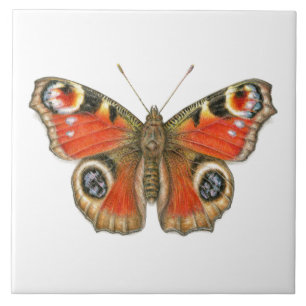 Aglais io - Peacock Butterfly Ceramic Tile