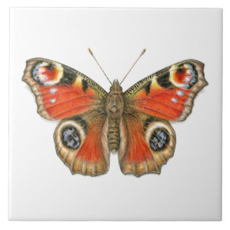 Aglais io - Peacock Butterfly Ceramic Tile