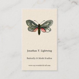 Aglaope infausta - Almond-Tree Leaf Skeletonizer B Business Card