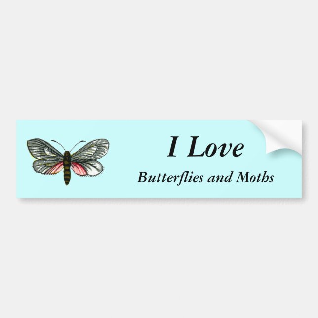 Aglaope infausta - Almond-Tree Leaf Skeletonizer Bumper Sticker (Front)