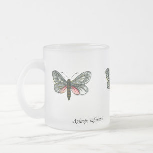 Aglaope infausta - Almond-Tree Leaf Skeletonizer Frosted Glass Coffee Mug