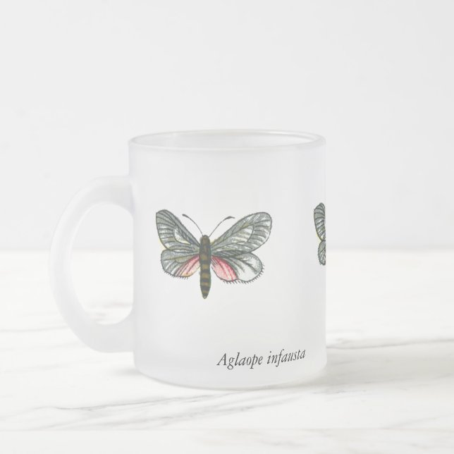 Aglaope infausta - Almond-Tree Leaf Skeletonizer Frosted Glass Coffee Mug (Left)