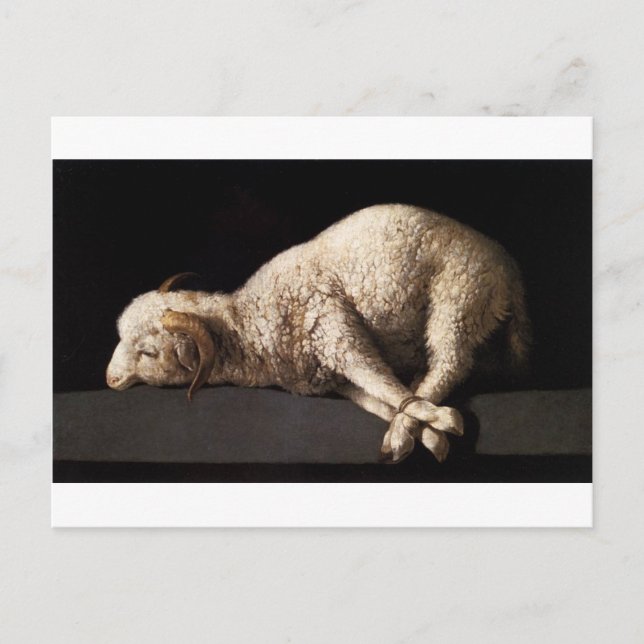 Agnus Dei by Francisco de Zurbaran Postcard (Front)