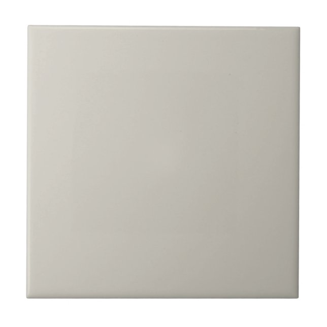 Agreeably Grey Square Kitchen and Bathroom Ceramic Tile (Front)