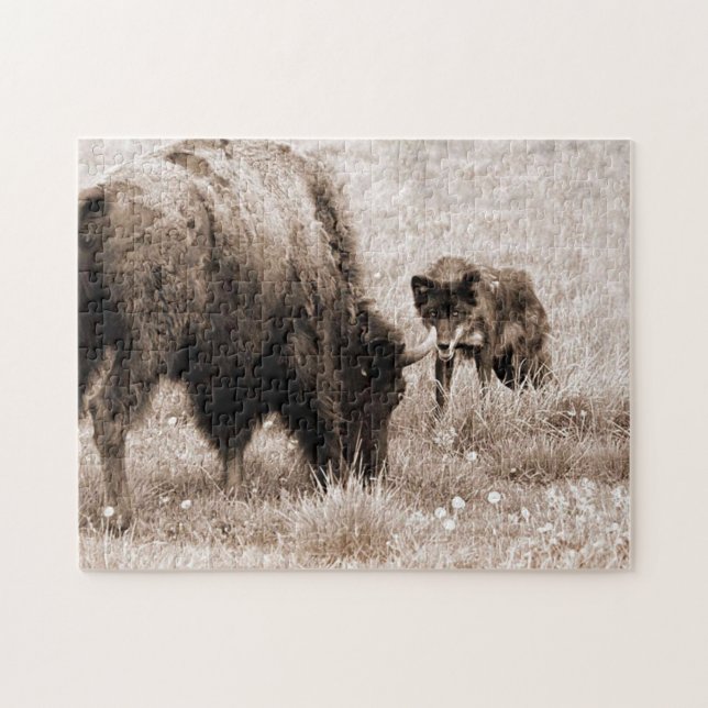Agressive bison and black wolf jigsaw puzzle (Horizontal)
