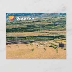 Agricultural Bhutanese landscape Postcard