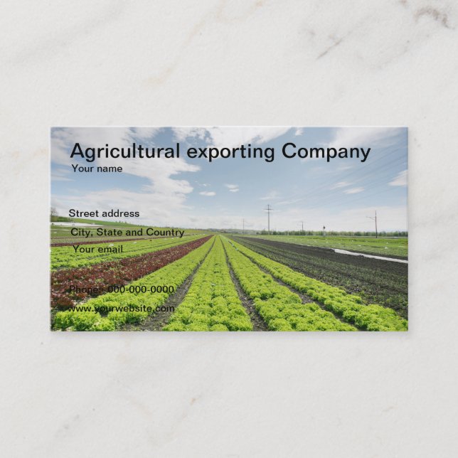 Agricultural exporting company business card (Front)
