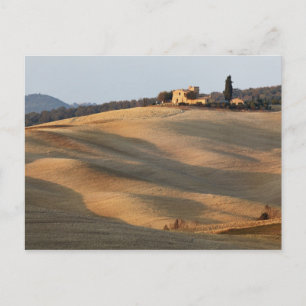 Agricultural field at sunset, Val d'Orcia, Tusca Postcard