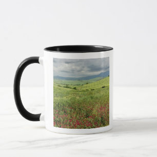Agricultural field, Tuscany region of Italy. Mug
