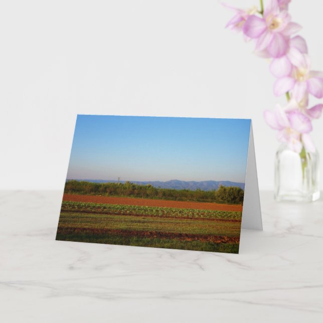 Agricultural Land in Valencia, Spain Card (Orchid)