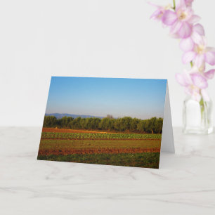 Agricultural Land in Valencia, Spain Card