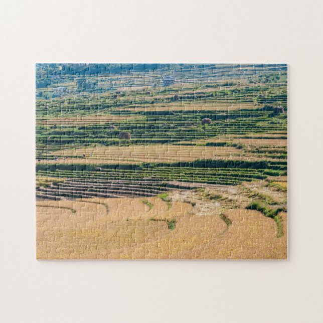 Agricultural landscape - Bhutan, Asia, Himalaya Jigsaw Puzzle (Horizontal)