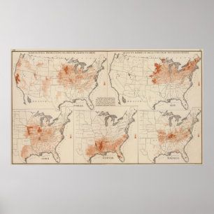 Agricultural Productions in the US Poster