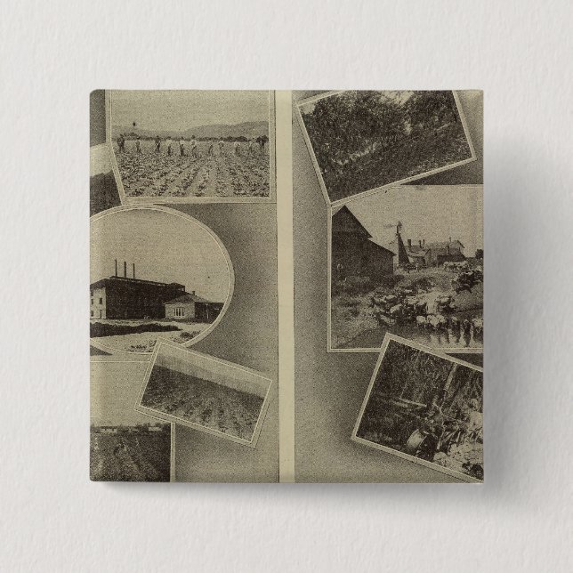 Agricultural prosperity, Oregon 15 Cm Square Badge (Front)