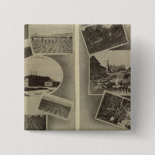 Agricultural prosperity, Oregon 15 Cm Square Badge