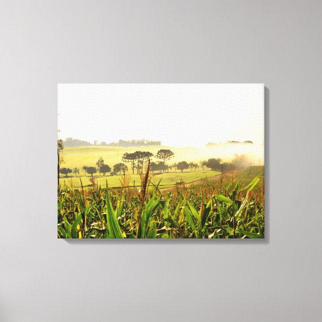 Agriculture Brazil Canvas Print (Front)