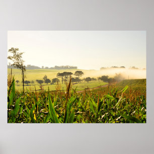 Agriculture Brazil Poster