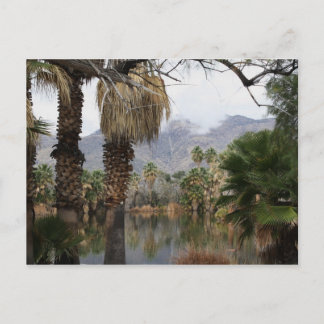Agua Caliente Park Tucson Az Postcard