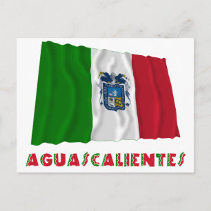Aguascalientes Waving Unofficial Flag Postcard