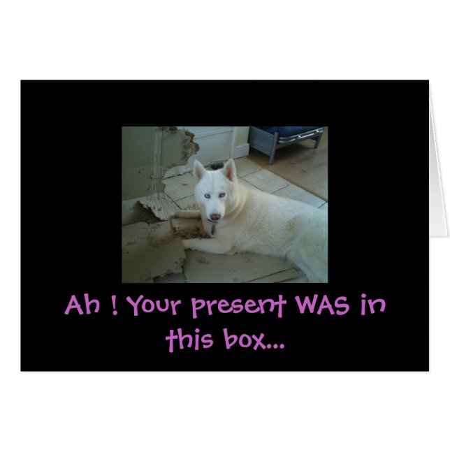 Ah ! Your present WAS... (Front Horizontal)