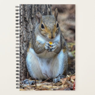 Ahhh... It's Dinnertime Planner