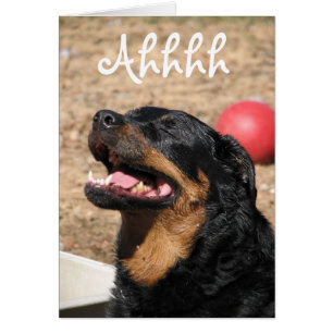 Ahhhh