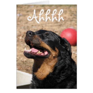 Ahhhh