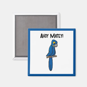 Ahoy Matey Pirate Parrot Cartoon, Funny Macaw Bird Magnet
