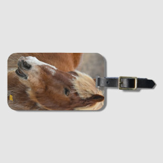 AHT Horse Rescue Luggage Tag