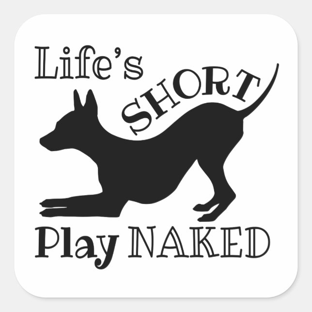 AHT "Life's Short" Stickers (Front)