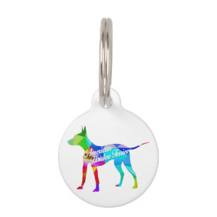 AHT Rainbow Prism Pet Tag
