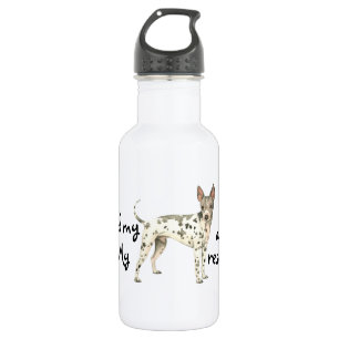 AHT Rescue 532 Ml Water Bottle