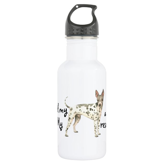 AHT Rescue 532 Ml Water Bottle (Front)