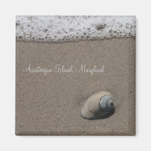 AI Clam Shell Magnet