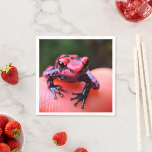 Ai Red Frog Napkin