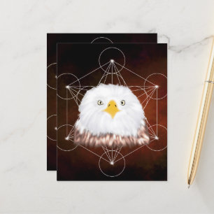 aigle metatron