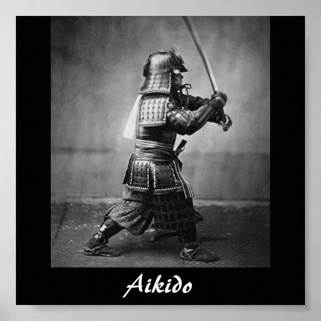 Aikido Japanese Martial Art Poster (Front)
