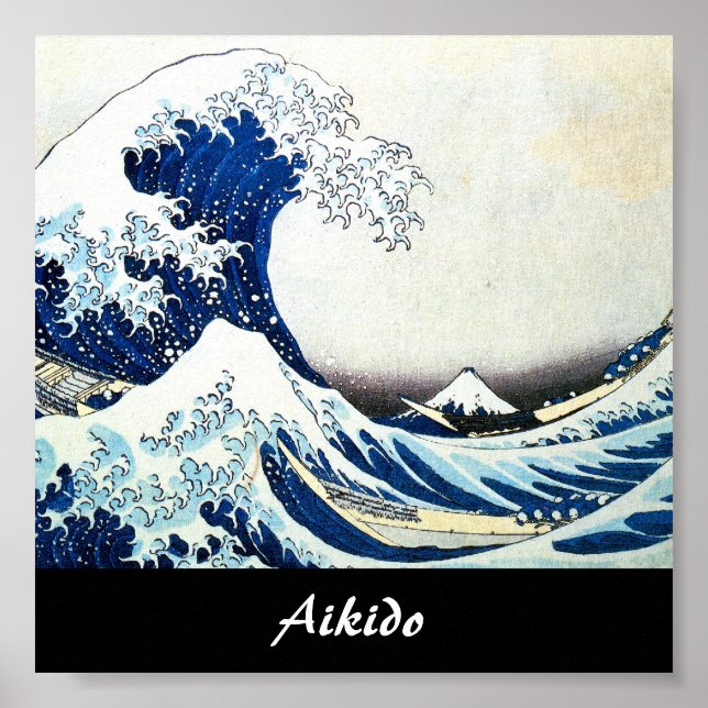 Aikido Japanese Martial Art Poster (Front)