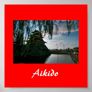 Aikido Japanese Martial Art Poster