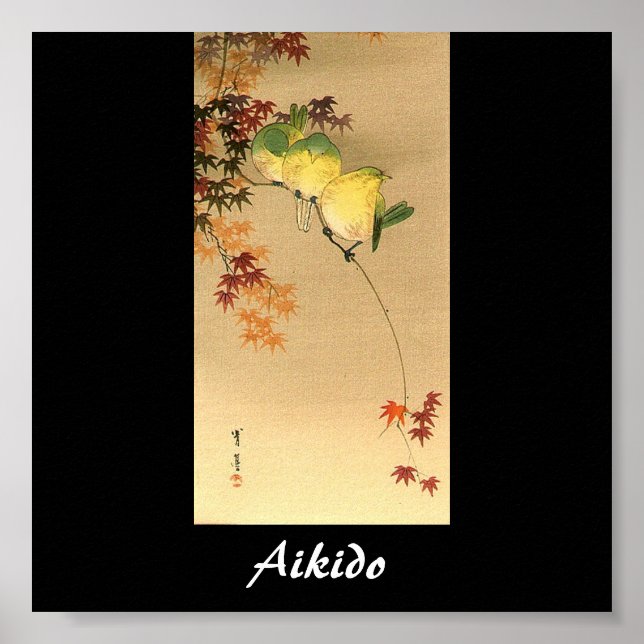 Aikido Japanese Martial Art Poster (Front)