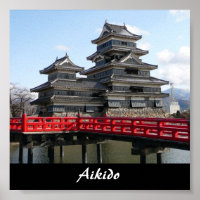 Aikido Japanese Martial Art